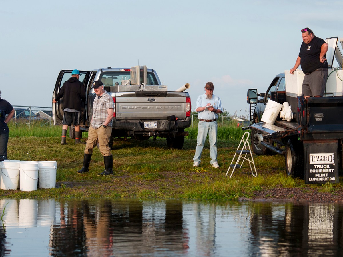 Time running out for Great Lakes whitefish. Can ponds become their Noah’s Ark?